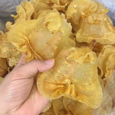 赤嘴公肚鱼胶花胶 一德路海味干货信息通渠道 本港湛江赤嘴公25头