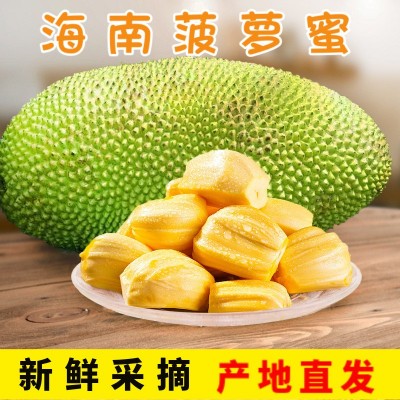 海南菠萝蜜热带新鲜水果脆甜红肉黄肉整个大苞木菠萝一件代发干苞
