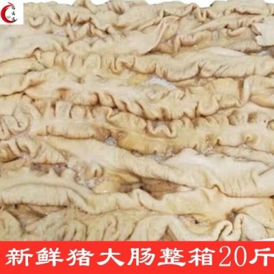 新鲜冷冻猪大肠 肥肠干净 生鲜大肠整箱20斤商用面馆饭店食材