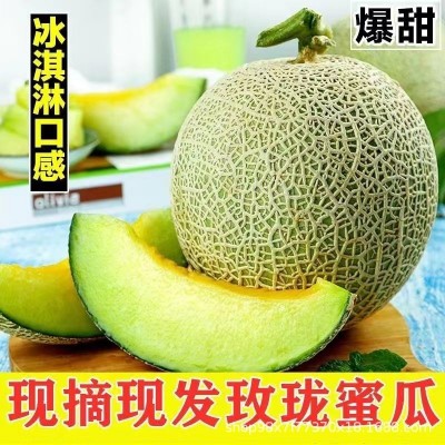 海南红宝石莲雾水果5斤当季新鲜水果特大果雾莲黑珍珠连雾果整箱