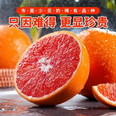 【赣州果园直供】赣南血橙水果薄皮红心橙子10斤整箱批发现摘鲜果