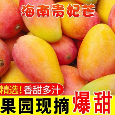 海南贵妃芒果斤装新鲜应季水果斤红金龙厂批发高山老树甜心超甜