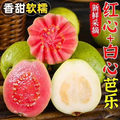 广西双拼芭乐番石榴水果新鲜整箱当季红心芭乐果软糯脆甜包邮巴乐