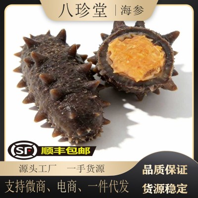 顺丰包邮带籽海参母鲜食海参开袋即食大连鲜食带籽海参母礼盒