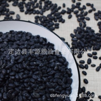 2023年产 小黑豆 陕北黑豆 农家黑豆 厂家销售批发