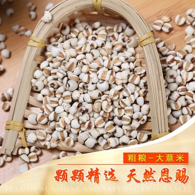 批发大薏米 薏米仁薏苡仁 薏仁米五谷杂粮厂家熬粥袋装25KG