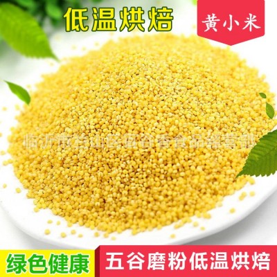低温烘焙熟小黄米食用黄小米宝宝粥新米月子米杂粮磨粉原料