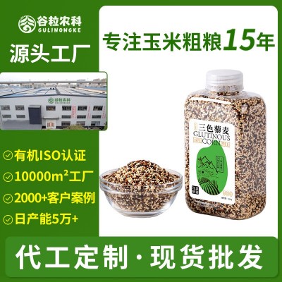 正宗三色藜麦米正宗白藜麦高原粗粮即食青海五谷粮主食黎麦饭