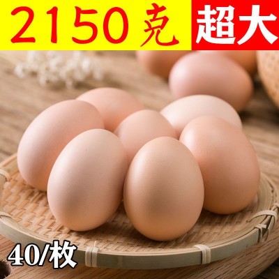 土鸡蛋大量批发顺丰可选大降价农村新鲜柴鸡蛋孕妇笨鸡蛋10-40个