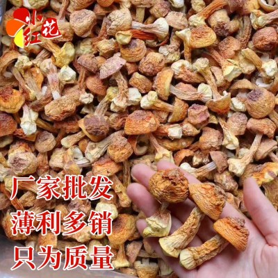 巴西菇干货500g姬松茸 姬松茸剪脚菌汤包炖汤原料松茸菌厂家批发