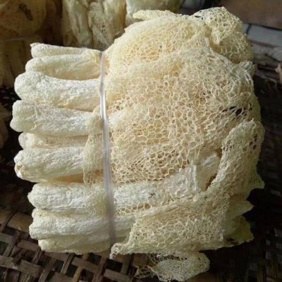 净重500g装古田竹荪干货 选货品质粗梗大管竹荪不熏硫磺竹笙