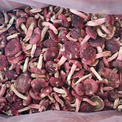 福建武夷山红菇 正红大中朵红菇干货 红蘑菇散装500g食用菌批发