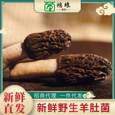 2021新鲜羊肚菌1000g菌菇土特产煲汤酒店餐饮食材批发产地直供