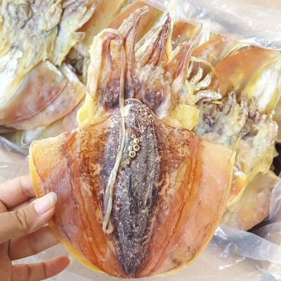 广西北海墨鱼干晒干批发墨鱼干货淡晒产地直销海鲜产品