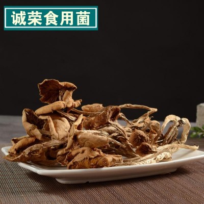 茶树菇 福建 古田食用菌 干货 开伞茶树菇500g 福建菌菇批发