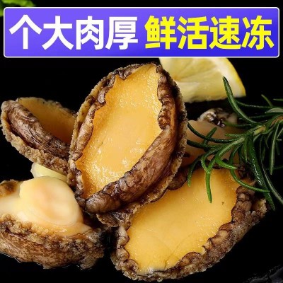 新鲜鲍鱼肉活鲍现剥纯肉去牙去壳去内脏真空包装火锅食材冷链包邮