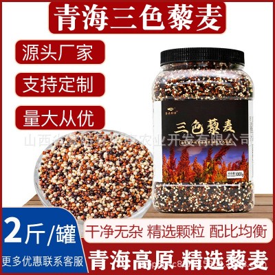 东来同款藜麦米青海高原三色藜麦新米精选大颗粒藜麦批发轻食代餐