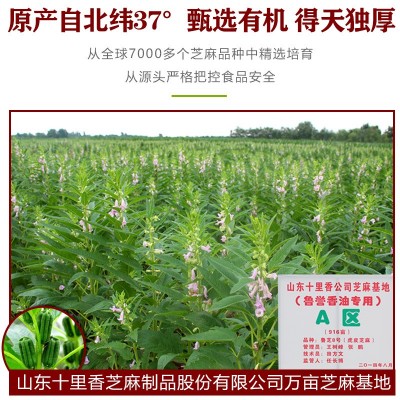 鲁誉传统小石磨黑芝麻香油凉拌蘸料现货急发