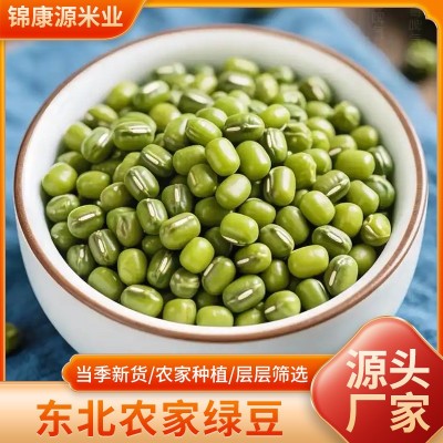 东北农家新鲜绿豆农家新绿豆易烂出沙煮粥解暑绿豆汤绿豆沙发豆芽
