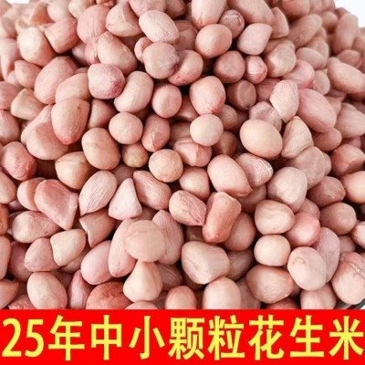 白沙花生仁东北新鲜花生米新货散装粉白皮新鲜粉红花生仁商用家用