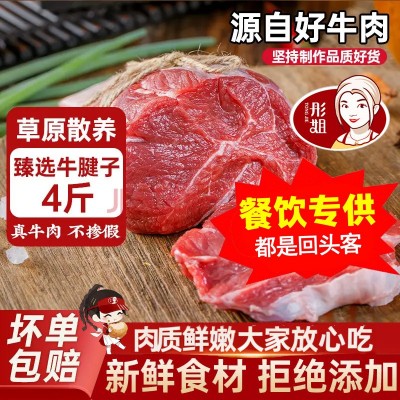 彤姐牛肉原切牛腱子4斤装新鲜牛肉炖煮烤肉火锅冷冻食材批发零售