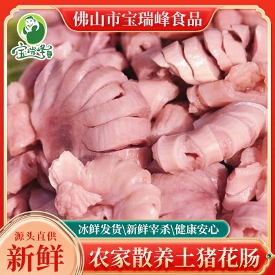 新鲜肥肠精选猪花肠散养土猪生肠猪脆肠免洗批发商用烧烤火锅食材