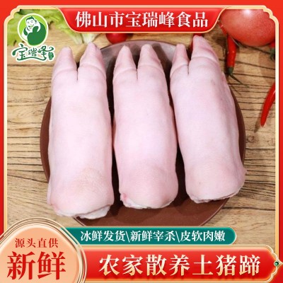 包邮精选散养土猪猪蹄2/5/10斤前蹄带筋冷冻短蹄烧烤商用猪脚烤肉