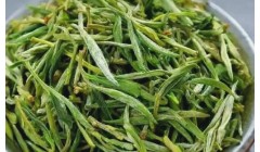 霍山黄芽茶