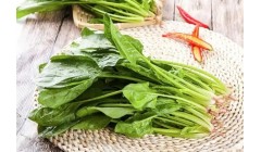 一年四季中什么时间种植菠菜合适?