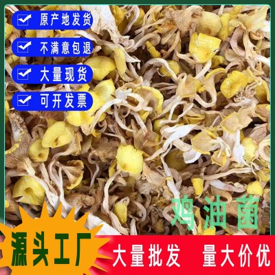 鸡油菌黄金菇黄丝菌榆黄蘑菌汤包原料新货干货批发高汤食材
