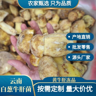 云南白葱牛肝菌冻品批发冷冻黄牛肝保鲜好品质煲汤食材量大价优
