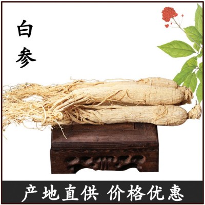 东北特产全检白参长白山人参白全须500克装6年泡酒煲汤参现货批发