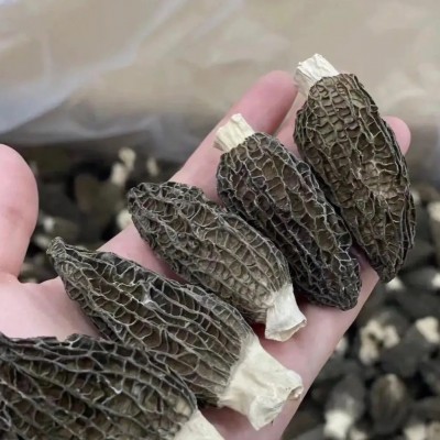 羊肚菌干货厂家批发整箱7-10剪柄细纹黑厚大个食用菌煲汤便宜代发