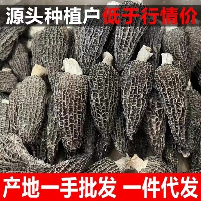 新货云南特产头茬羊肚菌250g干货克袋装源头厂家代发批发包邮