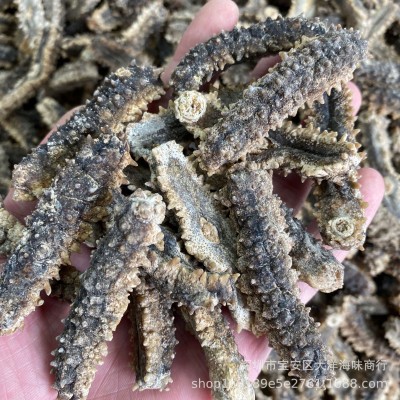 印尼刺王参 刺王参 黑刺参 黄金刺参 深海海参淡干货大量批发     1件