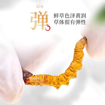 2026西藏新鲜虫草礼盒新鲜冬虫夏草礼盒西藏虫草冬虫夏草批发代发    1件