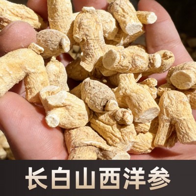 吉林长白山西洋参段短枝粒头花旗参疙瘩可滋补品整枝即食中药散装   1斤